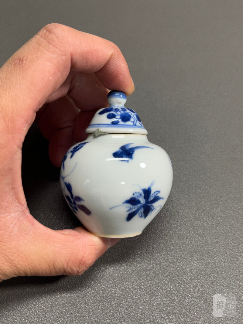 清康熙  青花虫草纹小盖罐 - 图6